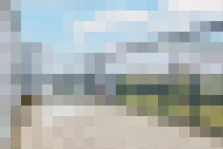 Weerschijnvlinder 45 Utrecht thumbnail 40