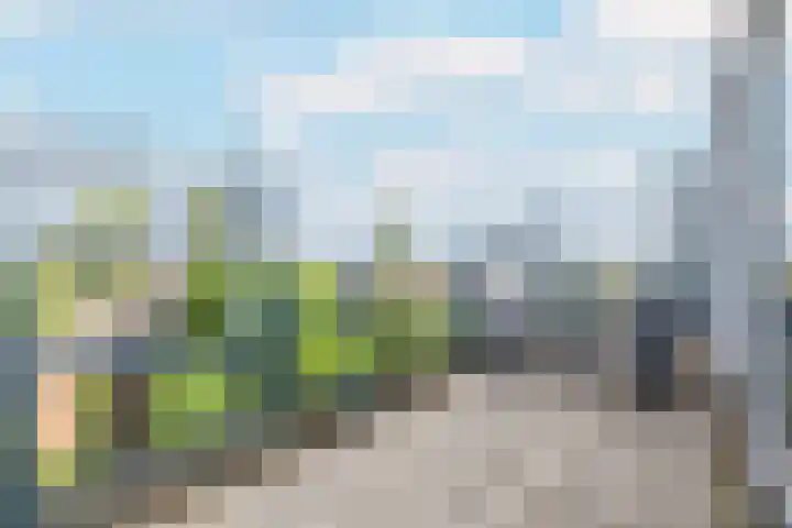 Weerschijnvlinder 45 Utrecht thumbnail 42