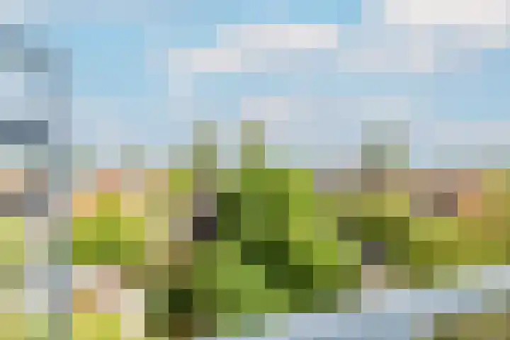 Weerschijnvlinder 45 Utrecht thumbnail 43