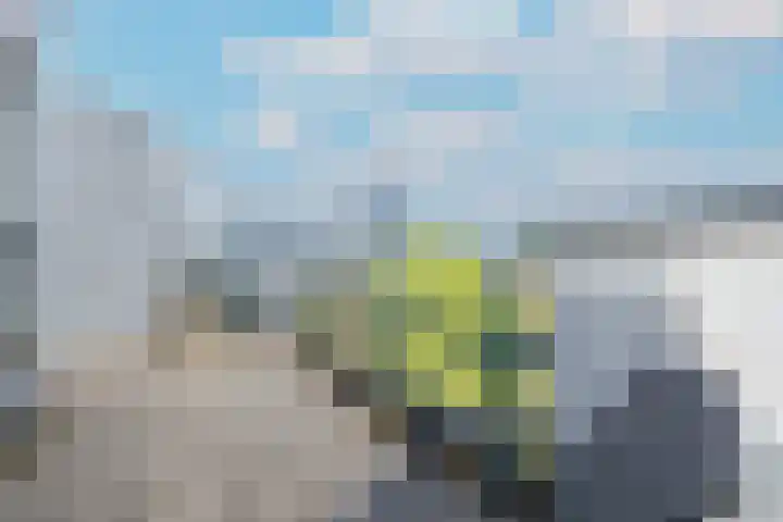 Weerschijnvlinder 45 Utrecht thumbnail 44