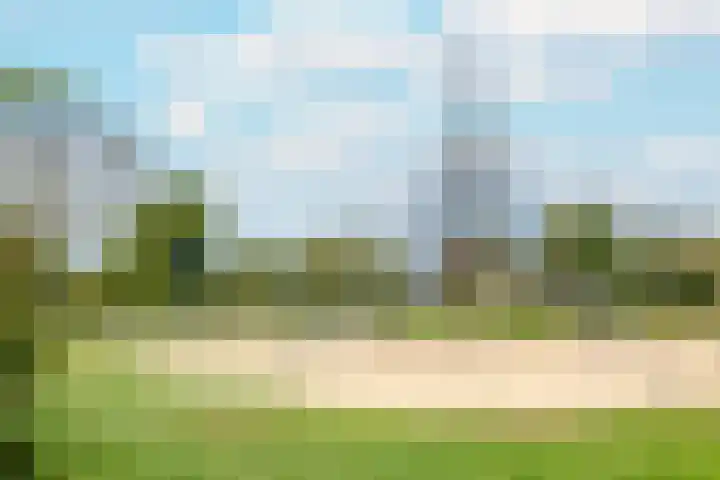 Weerschijnvlinder 45 Utrecht thumbnail 45