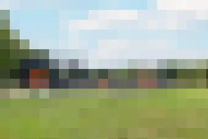 Weerschijnvlinder 45 Utrecht thumbnail 46