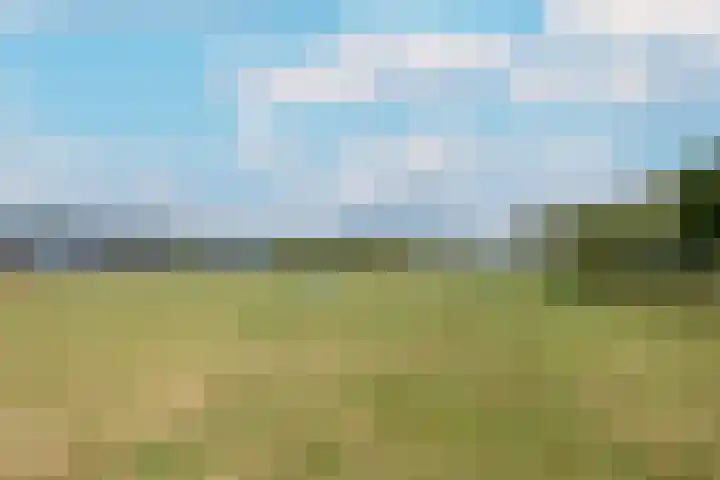 Weerschijnvlinder 45 Utrecht thumbnail 47