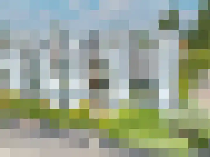 Weerschijnvlinder 45 Utrecht thumbnail 48