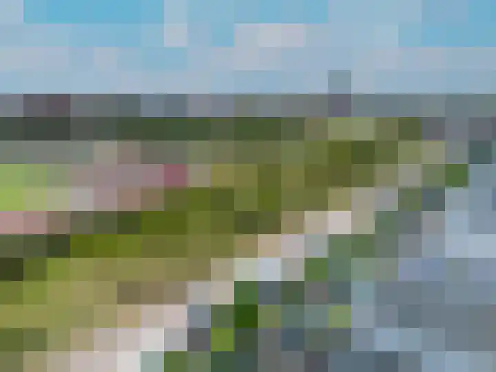 Weerschijnvlinder 45 Utrecht thumbnail 49