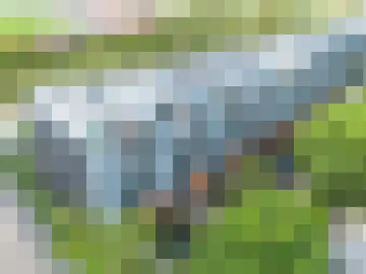 Weerschijnvlinder 45 Utrecht thumbnail 50