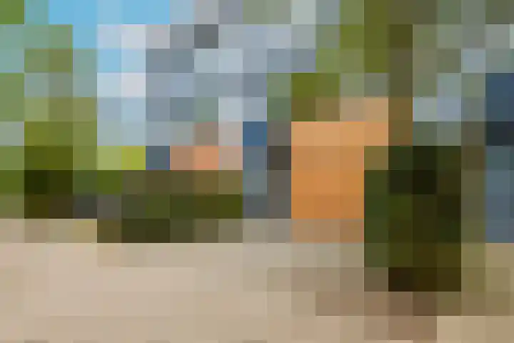 Weerschijnvlinder 45 Utrecht thumbnail 52