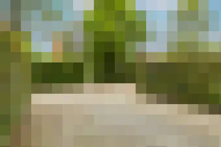 Weerschijnvlinder 45 Utrecht thumbnail 54