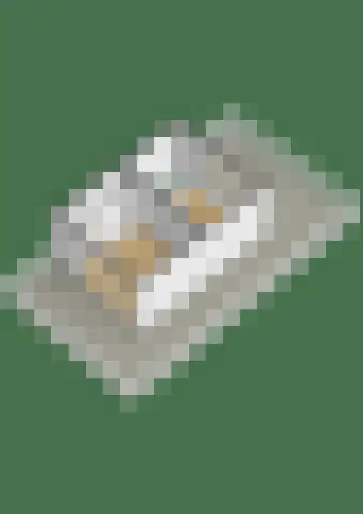 Weerschijnvlinder 45 Utrecht thumbnail 64