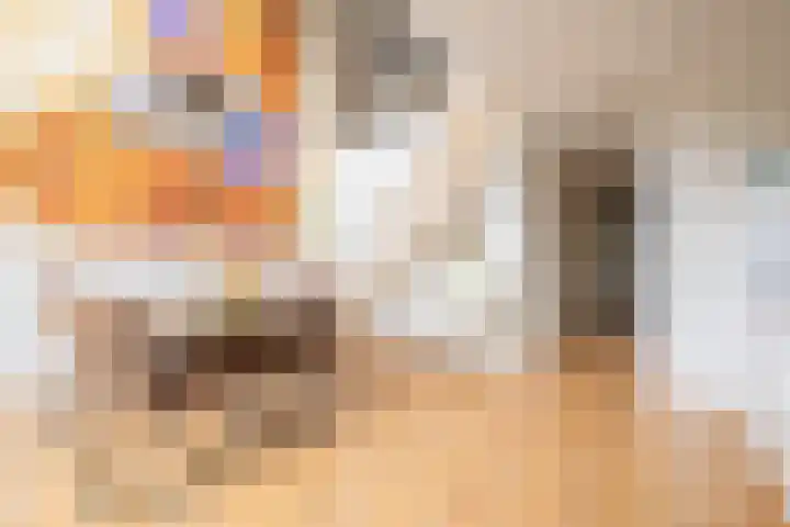 Weerschijnvlinder 45 Utrecht thumbnail 7