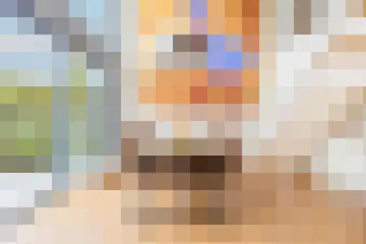 Weerschijnvlinder 45 Utrecht thumbnail 8