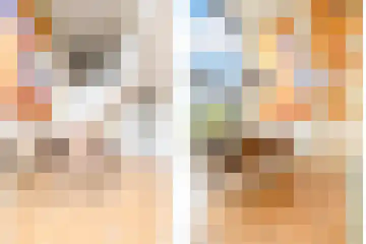 Weerschijnvlinder 45 Utrecht thumbnail 9