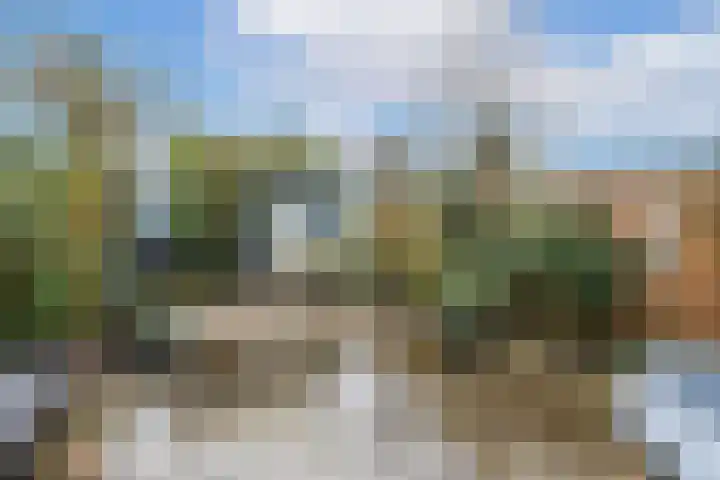 Weerschijnvlinder 53 Utrecht thumbnail 10