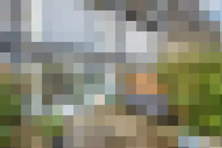 Weerschijnvlinder 53 Utrecht thumbnail 11