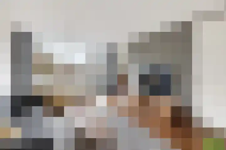 Weerschijnvlinder 53 Utrecht thumbnail 14