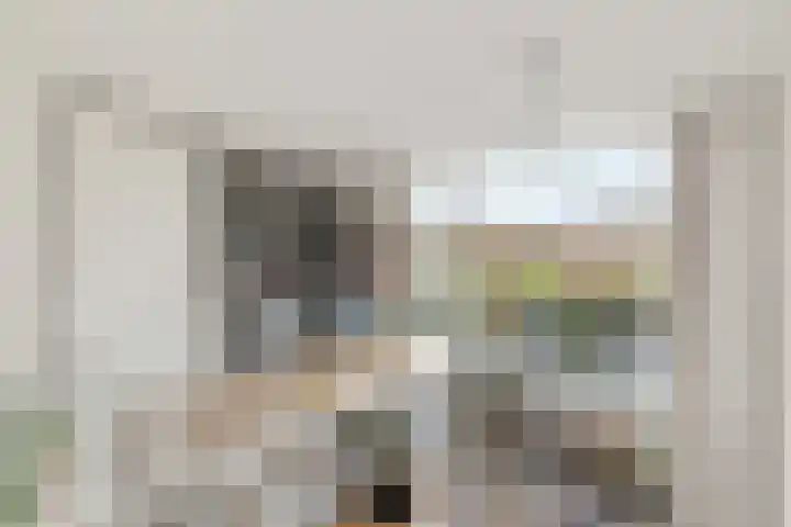 Weerschijnvlinder 53 Utrecht thumbnail 16