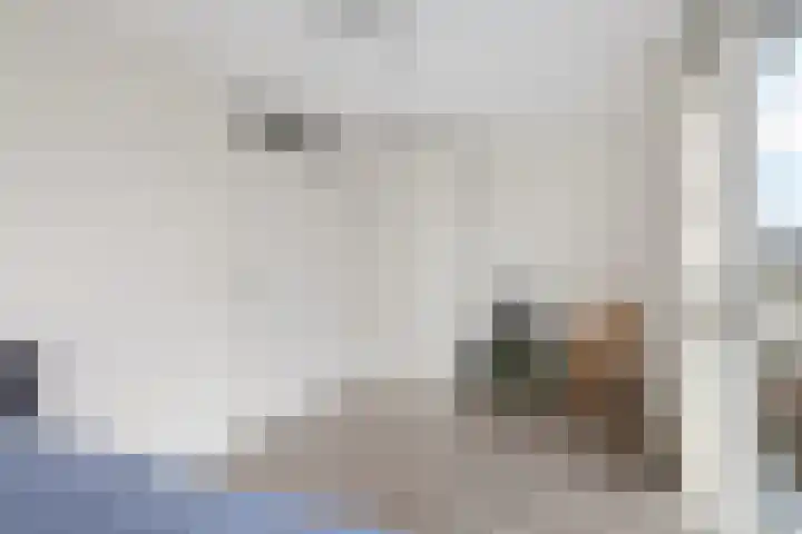 Weerschijnvlinder 53 Utrecht thumbnail 20