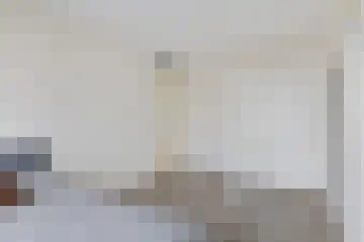 Weerschijnvlinder 53 Utrecht thumbnail 22