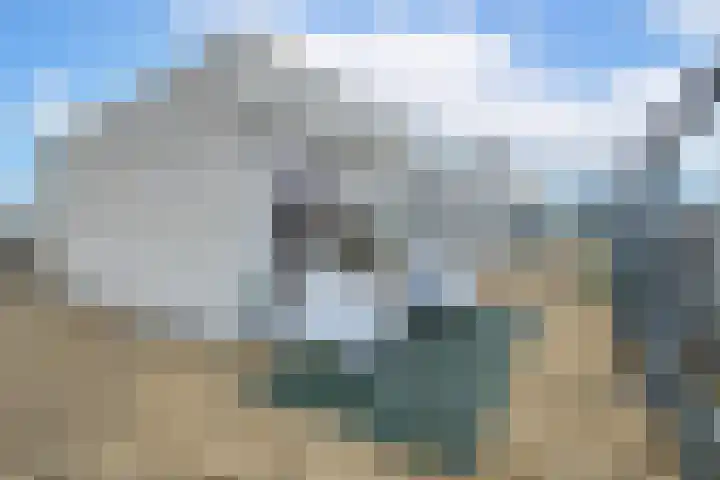Weerschijnvlinder 53 Utrecht thumbnail 28