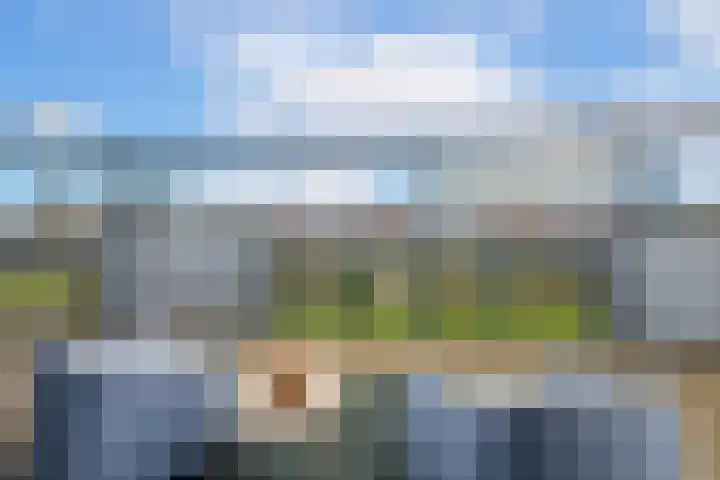 Weerschijnvlinder 53 Utrecht thumbnail 29