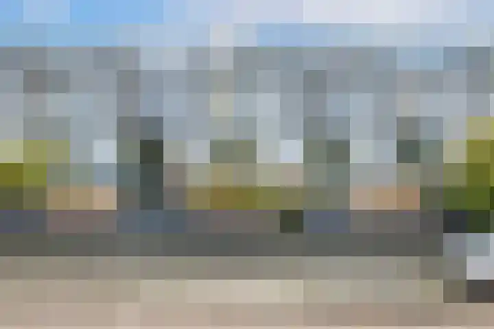 Weerschijnvlinder 53 Utrecht thumbnail 30