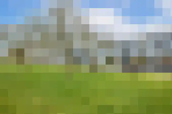 Weerschijnvlinder 53 Utrecht thumbnail 31