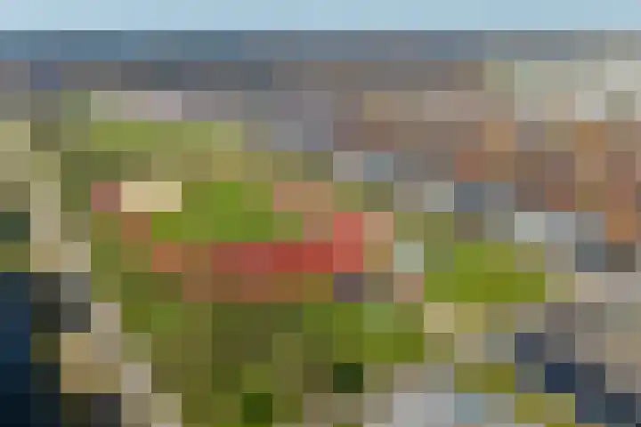 Weerschijnvlinder 53 Utrecht thumbnail 32