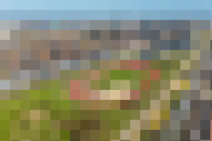 Weerschijnvlinder 53 Utrecht thumbnail 33