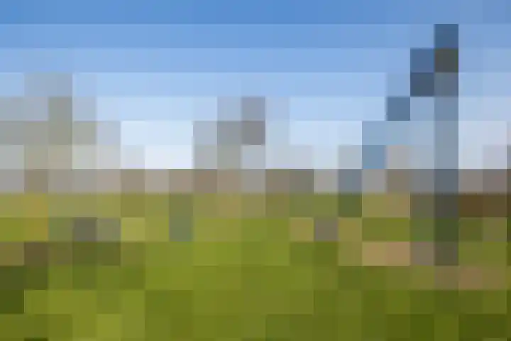 Weerschijnvlinder 53 Utrecht thumbnail 34