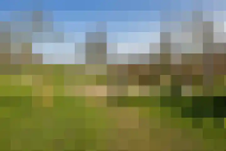 Weerschijnvlinder 53 Utrecht thumbnail 35