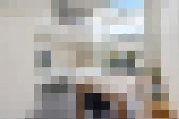 Weerschijnvlinder 53 Utrecht thumbnail 8