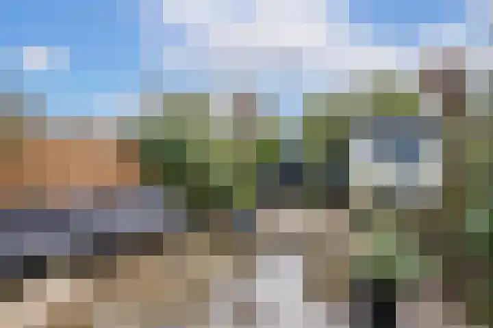 Weerschijnvlinder 53 Utrecht thumbnail 9