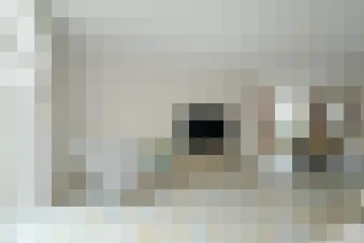 Weerschijnvlinder 6 Breda thumbnail 10