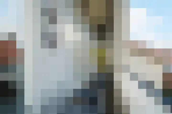 Weerschijnvlinder 6 Breda thumbnail 20