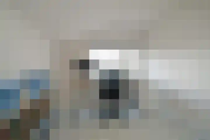 Weerschijnvlinder 6 Breda thumbnail 22