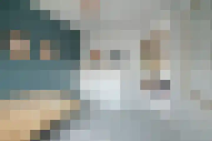 Weerschijnvlinder 6 Breda thumbnail 24
