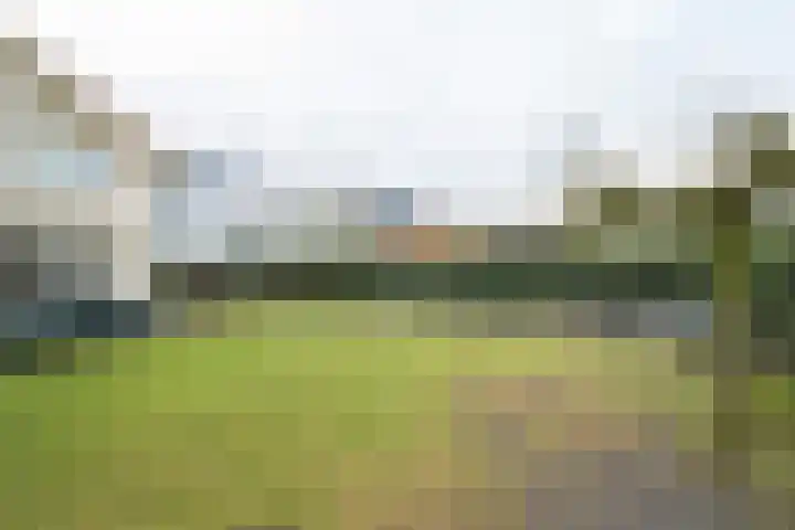 Weerschijnvlinder 6 Breda thumbnail 29