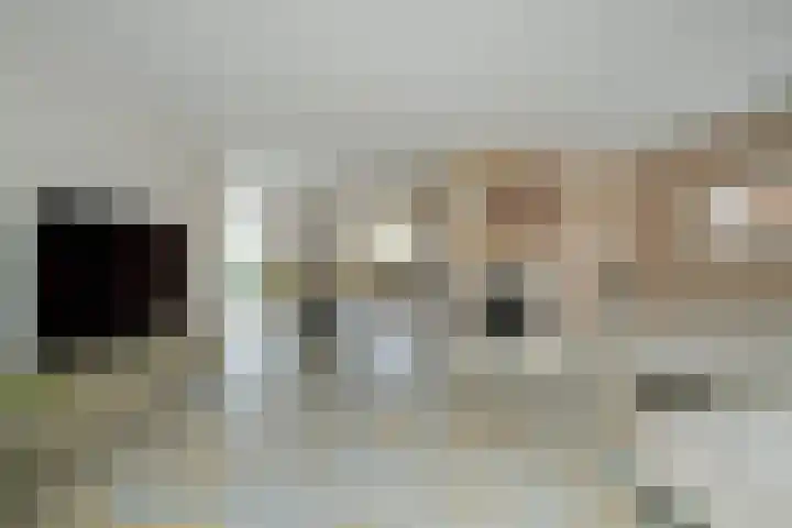 Weerschijnvlinder 6 Breda thumbnail 9