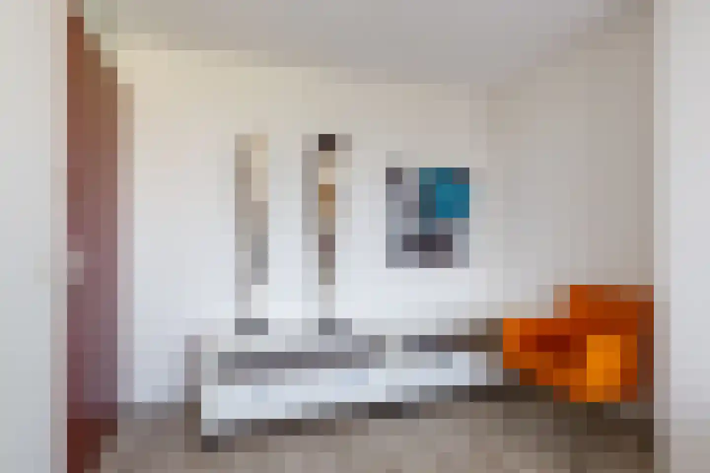 Weerschijnvlinder 61 Utrecht thumbnail 13
