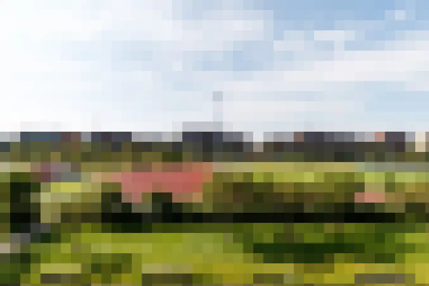 Weerschijnvlinder 61 Utrecht thumbnail 25