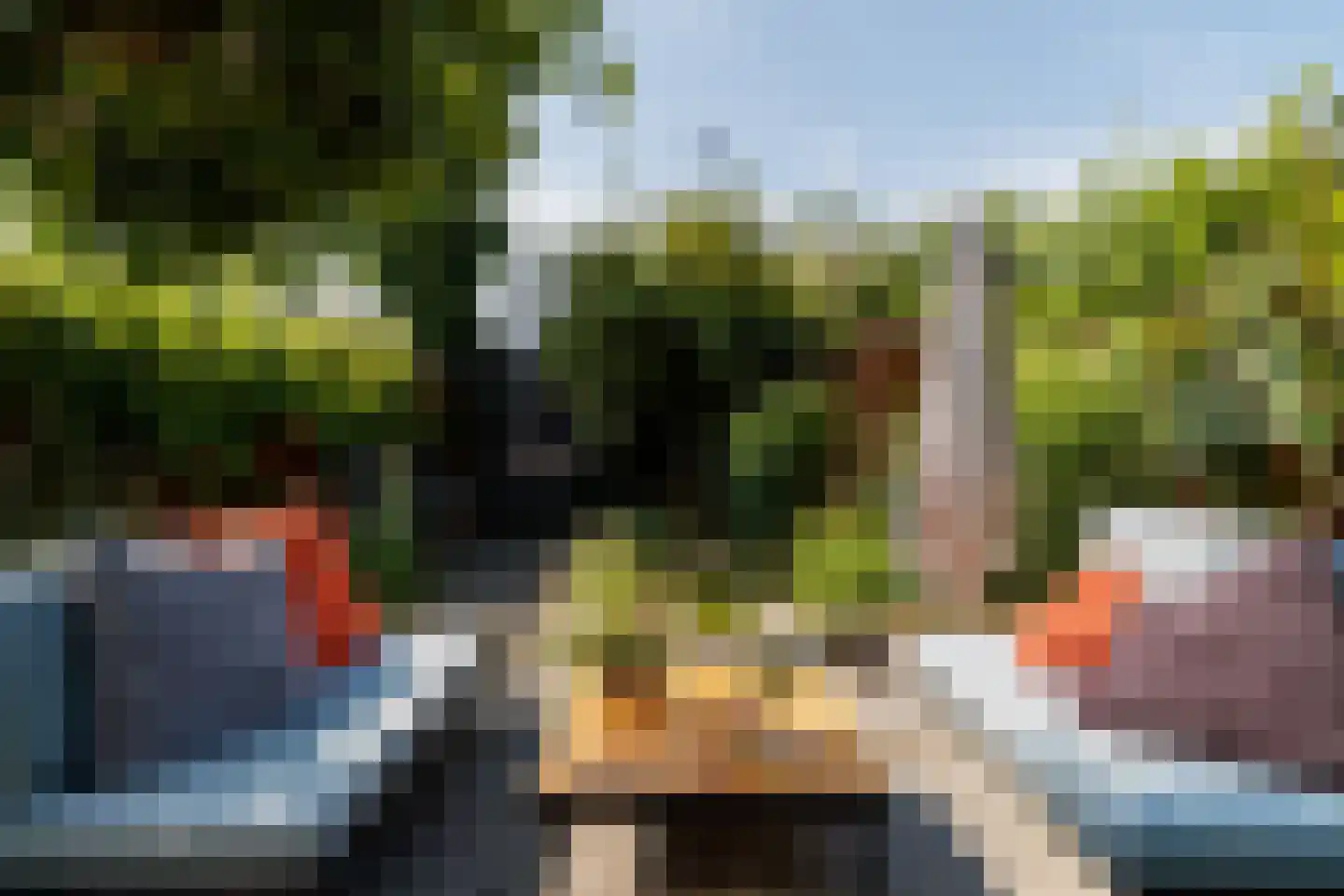 Weerschijnvlinder 61 Utrecht thumbnail 28