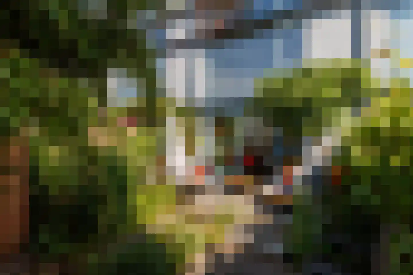 Weerschijnvlinder 61 Utrecht thumbnail 31