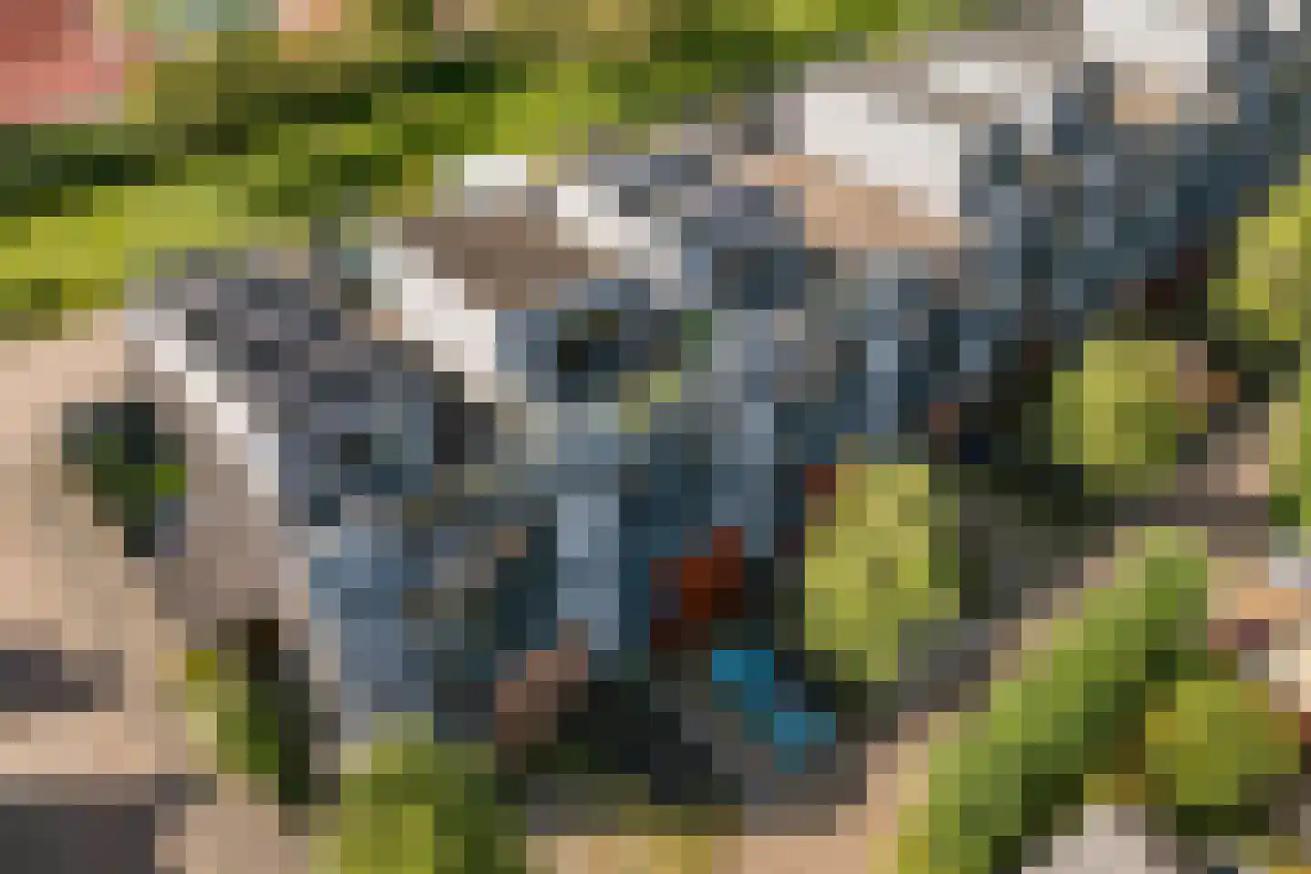 Weerschijnvlinder 61 Utrecht thumbnail 35