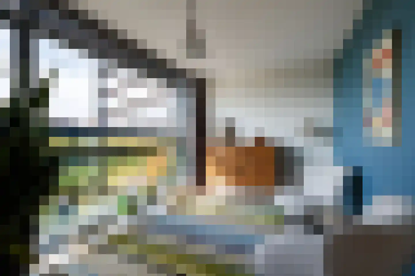 Weerschijnvlinder 61 Utrecht thumbnail 8