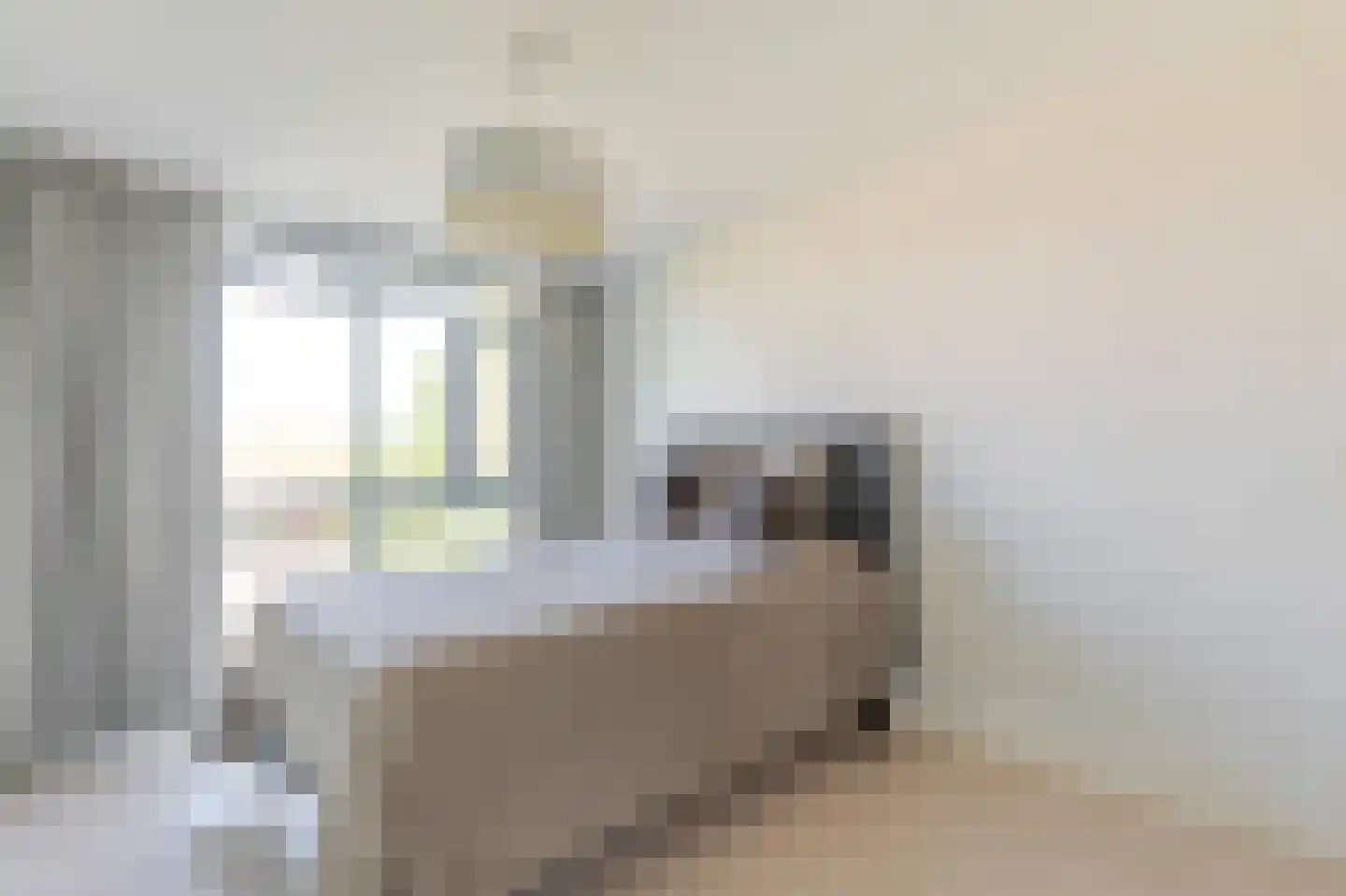 Weerschijnvlinder 71 Utrecht thumbnail 23