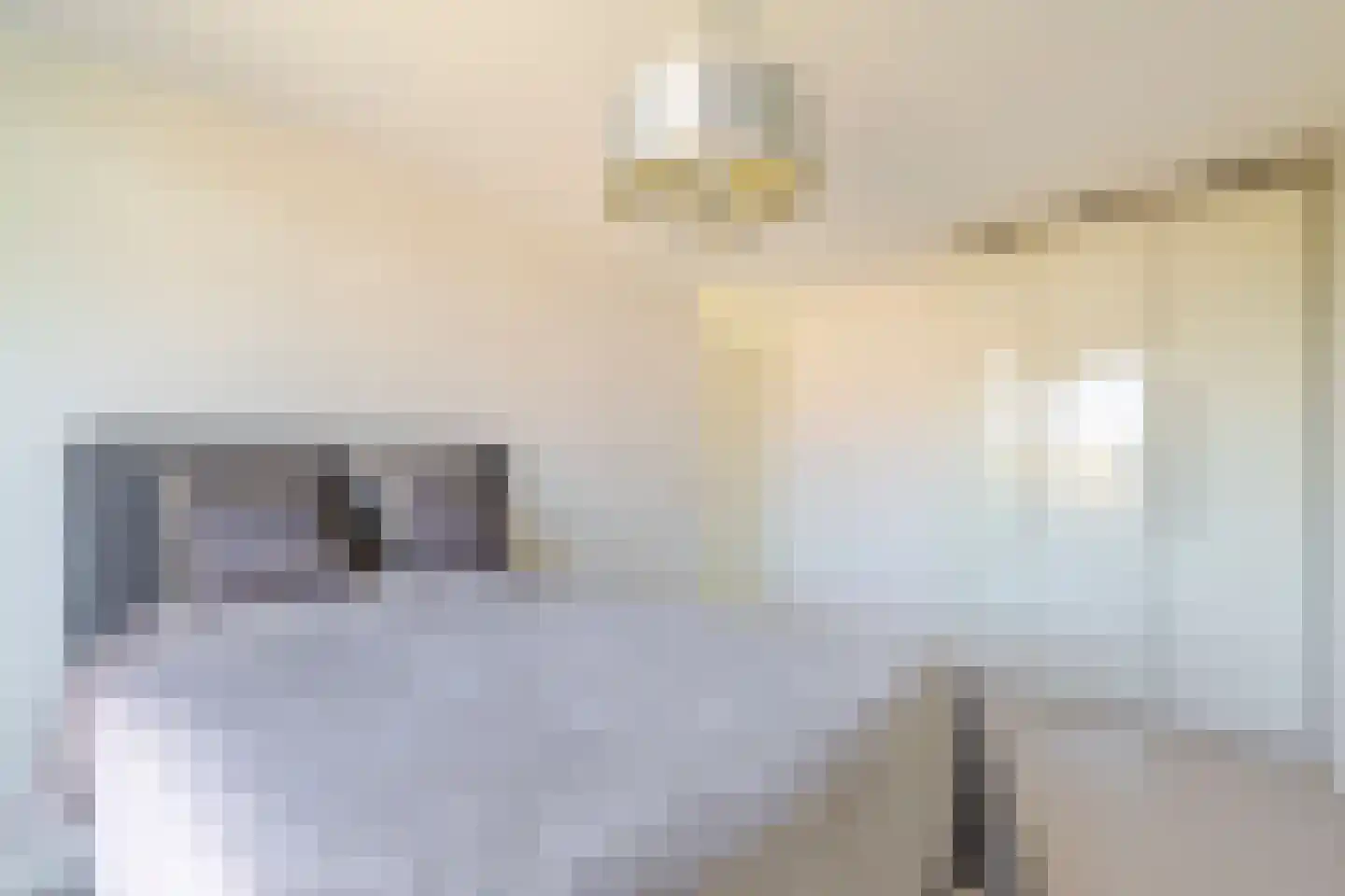 Weerschijnvlinder 71 Utrecht thumbnail 24