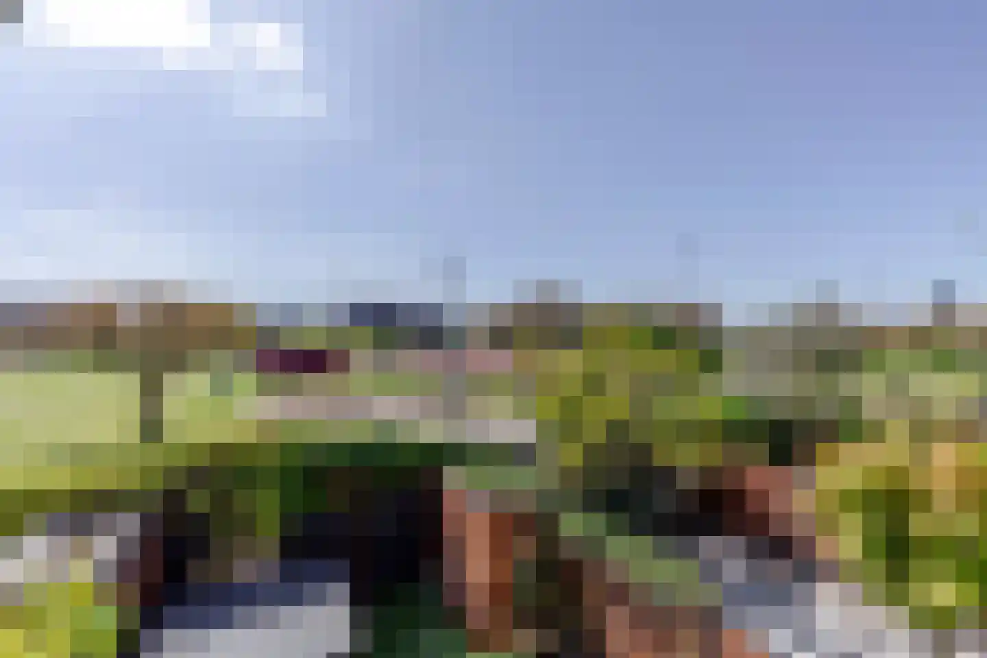 Weerschijnvlinder 71 Utrecht thumbnail 34