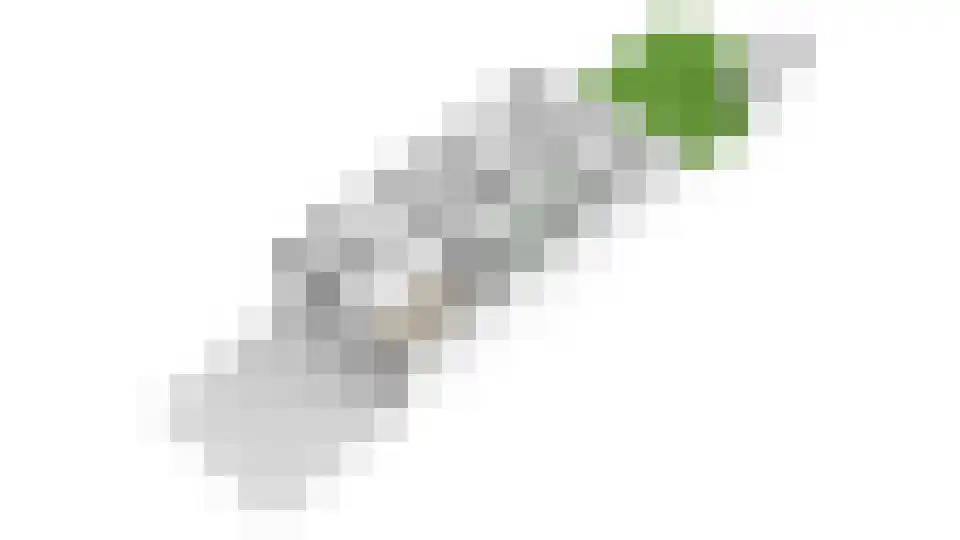 Weerschijnvlinder 71 Utrecht thumbnail 42