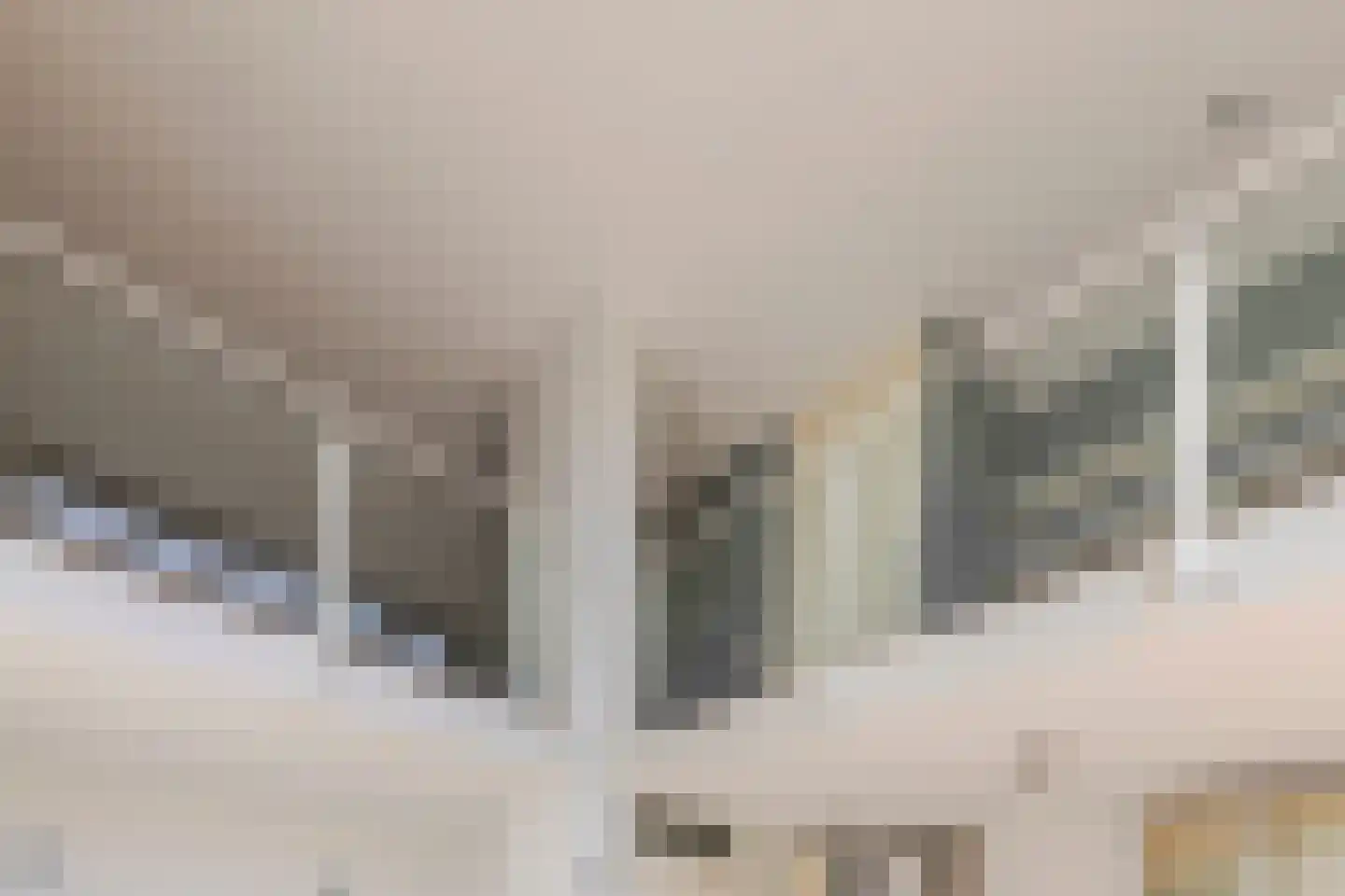 Weerschijnvlinder 71 Utrecht thumbnail 5