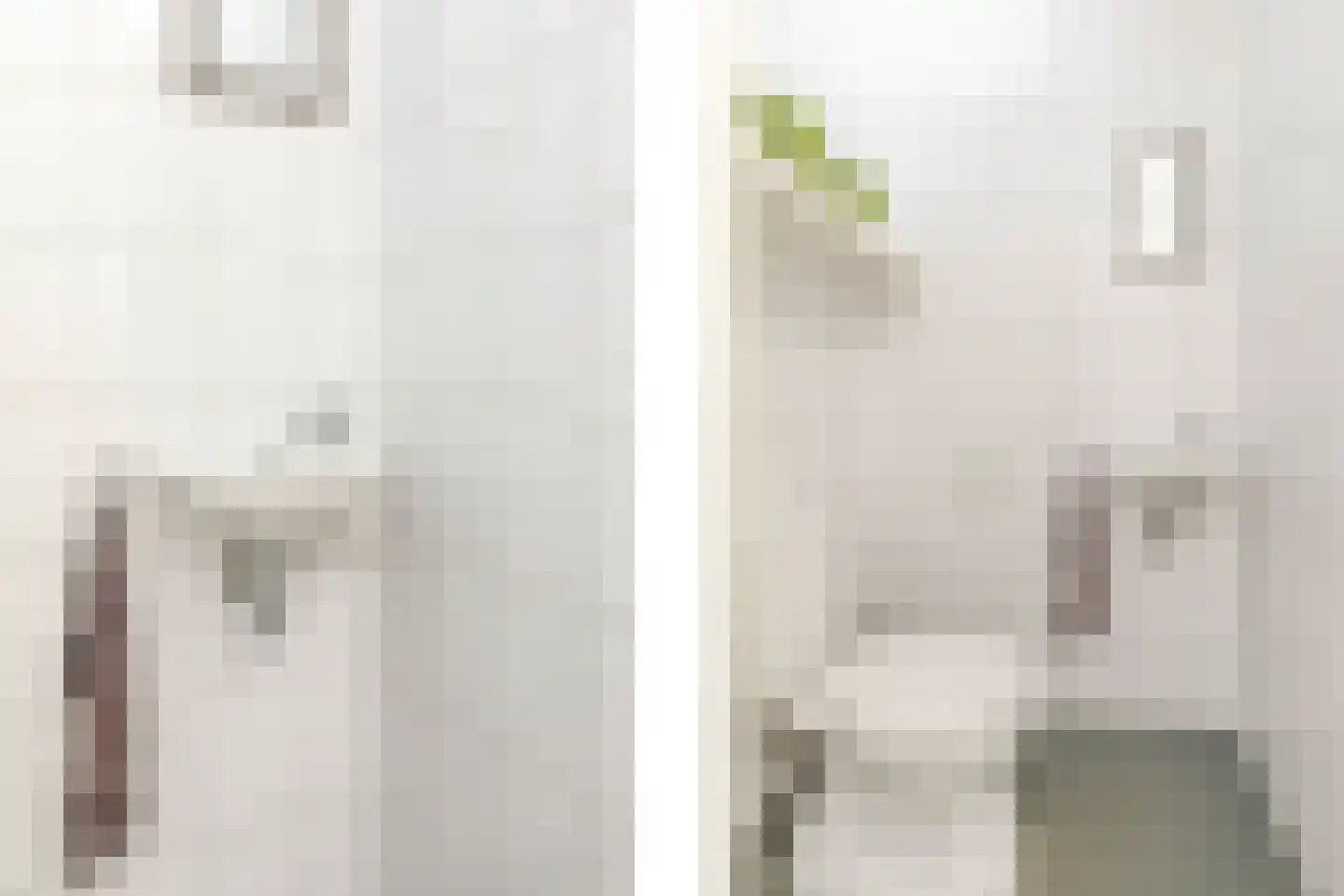Weerschijnvlinder 71 Utrecht thumbnail 7